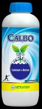 CALBO