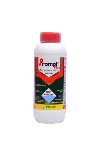 PROMPT PLUS