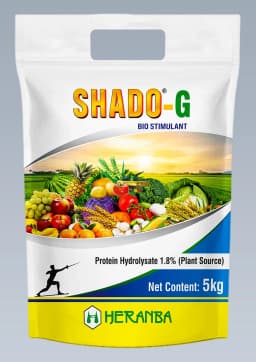 SHADO GR view 1