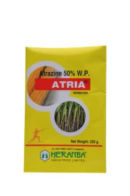 ATRIA view 5