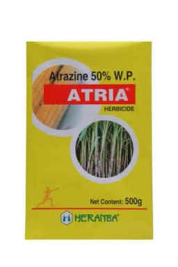 ATRIA view 7
