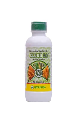 CLOUD 58 view 1