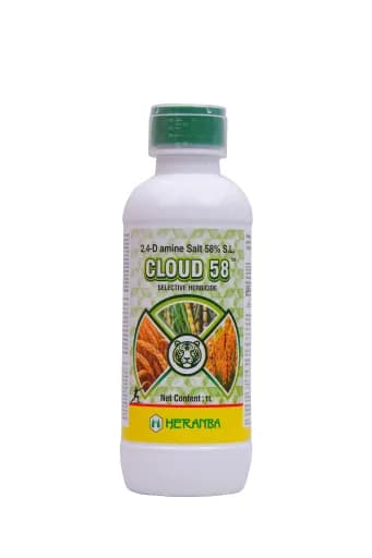 CLOUD 58