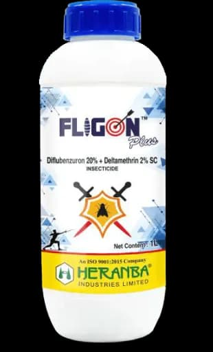 Fligon Plus