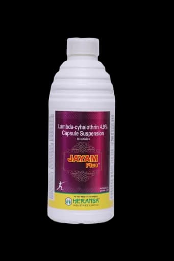 JAYAM PLUS