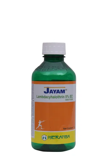 JAYAM