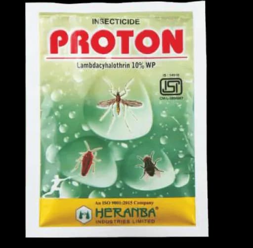 PROTON