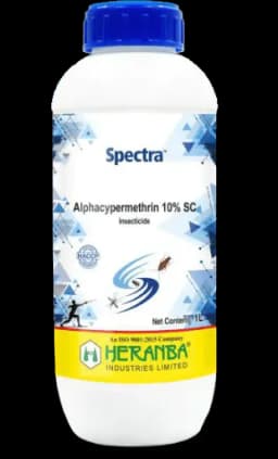 SPECTRA view 1