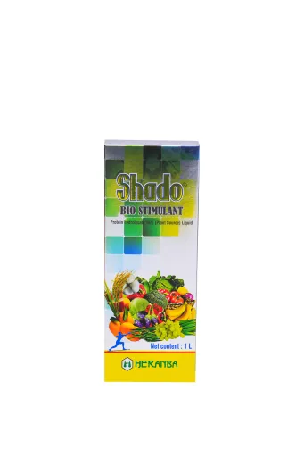 SHADO