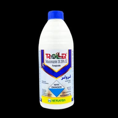 TROLLER
