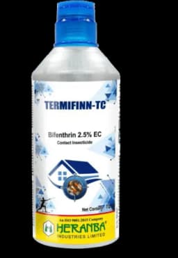 TERMIFINN – TC view 1